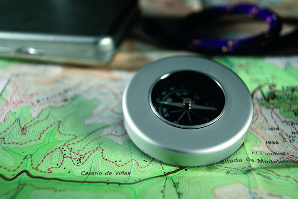 Target nautical compass