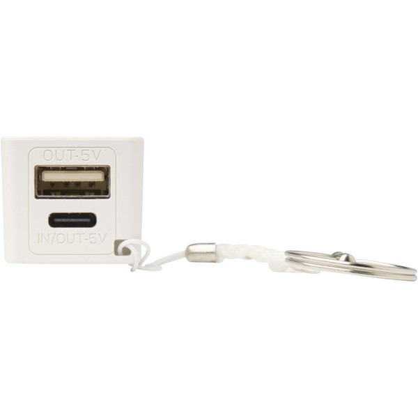 Batterie de secours WS104 2000/2200/2600 mAh - Blanc / 2200mAh