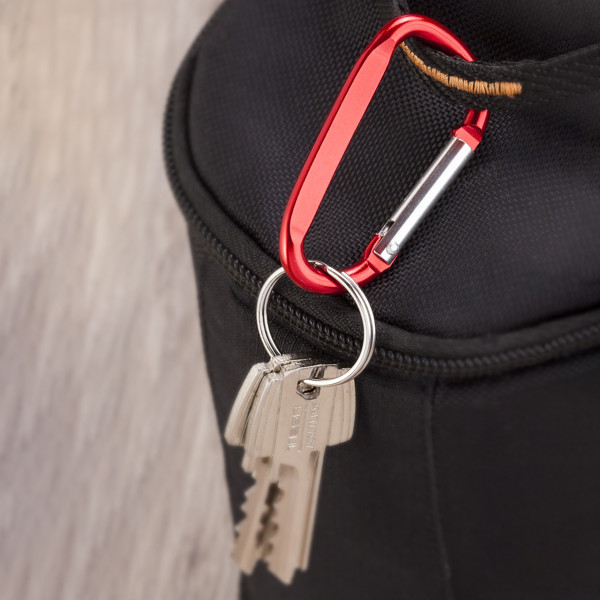 Pale Carabiner - Silver