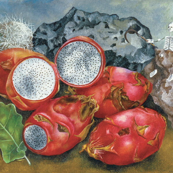 Notique Poznámkový Kalendář Frida Kahlo 2027, 30 x 30 cm - Východní