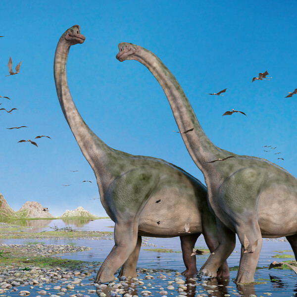 Notique Poznámkový Kalendář Dinosauři 2027, 30 x 30 cm - Východní