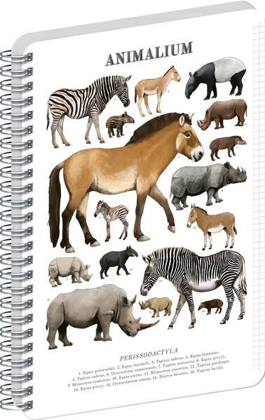 Notique Spirálový Blok Animalium – Lichokopytníci, Čtverečkovaný, A5