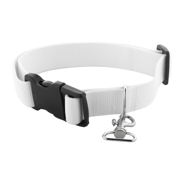 Custom Dog Collar Ziggy