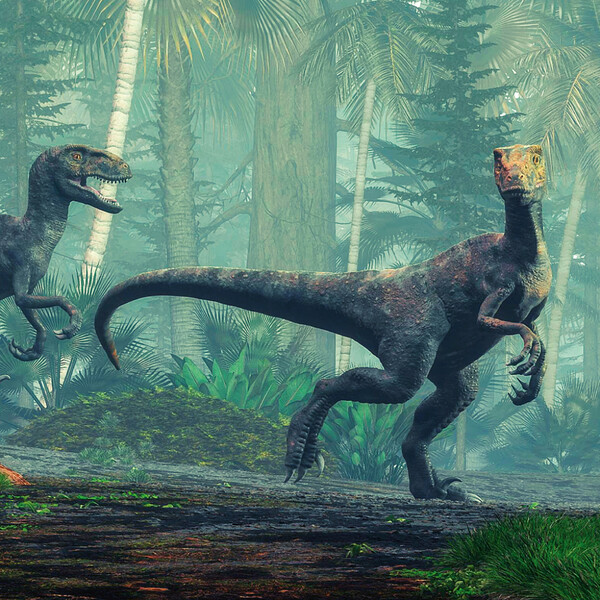 Notique Poznámkový Kalendář Dinosauři 2027, 30 x 30 cm - Východní