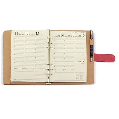 AGENDA REIMS PIERRE CARDIN S/V -