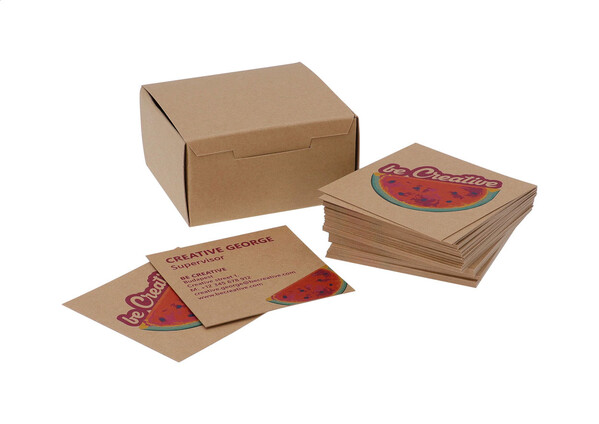 Cartes de visites Visicard Square Eco