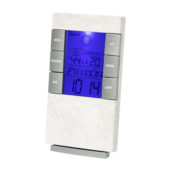 Station météo Florida