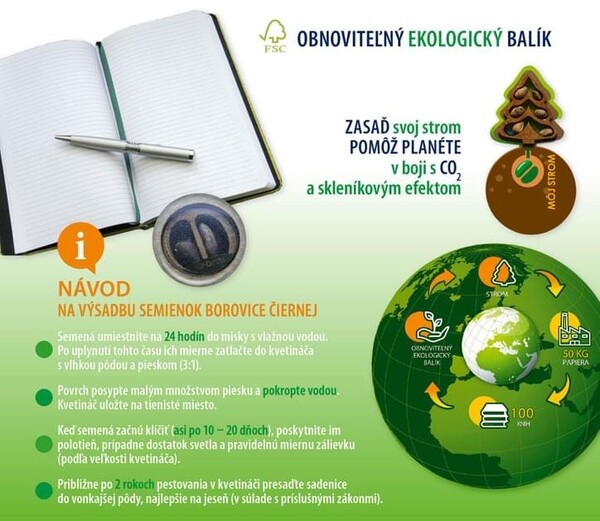 Notes Eco Krémový