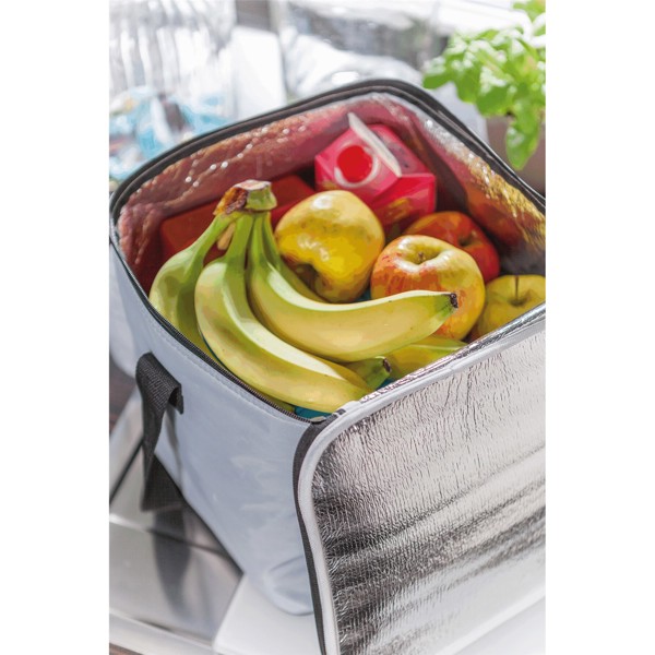 Kühltasche Ice - Silbergrau