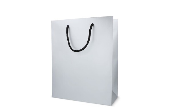 Sac cadeau en papier24 x 10 x 30cm 200g/m² - Argent
