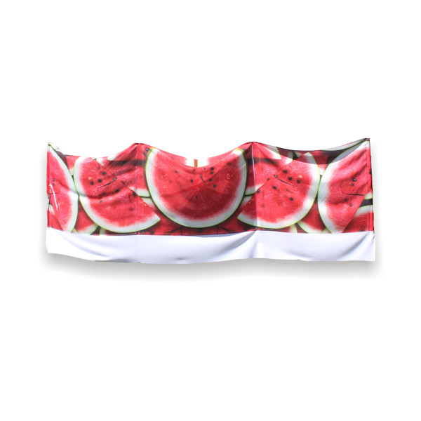 Customizable 4-Stick Windshield