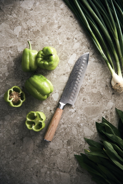 Vinga Hattasan santoku nož, jedro VG10, 67 plasti