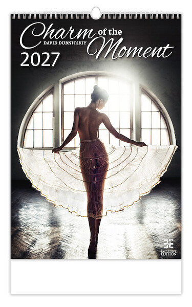 Nástěnný kalendář Charm of the Moment 2027