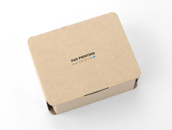 Wireless earbuds MOVE - white