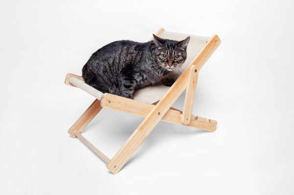 Pet Chair Diny