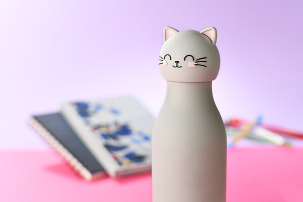 ANIMI Insulated Bottle – Dinosaur 400 ml - grey