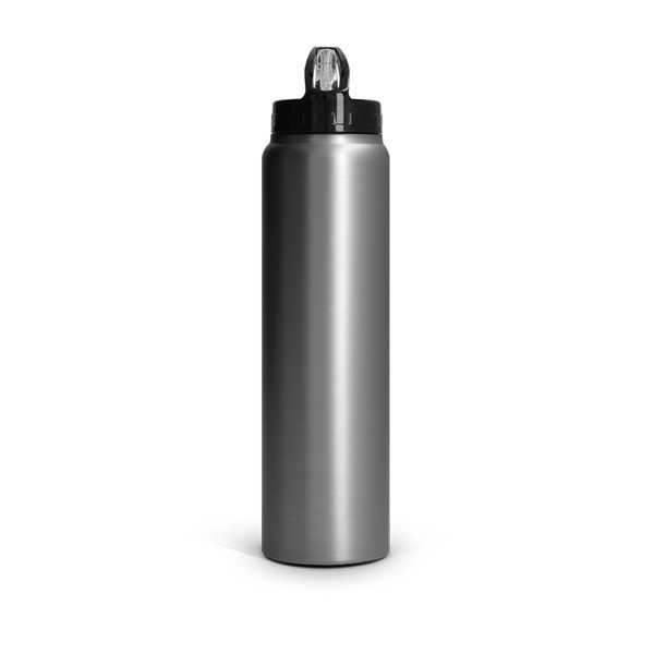 BOUTEILLE GOURDE 1 L INOX AVEC PAILLE - Argent