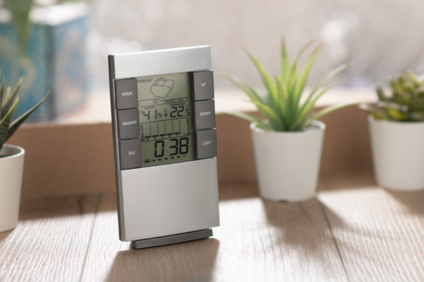 Weather station NARVI