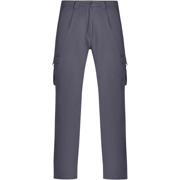 Daily Stretch 250 g/m2 elastane workwear trousers - Lead / 52