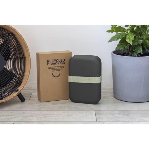 Amuse Recycled PP Lunch Box Large - Grey / Green