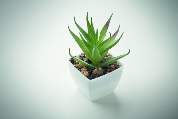 Mini artificial plant Artiloe
