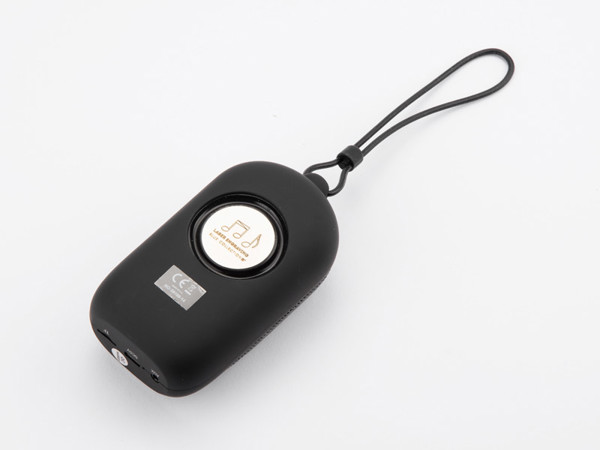 Wireless speaker CADENA