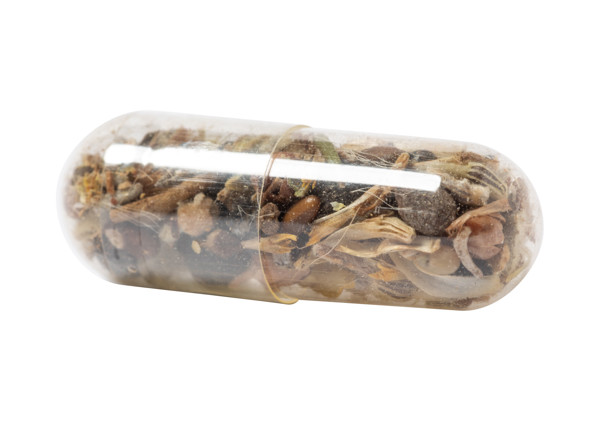 Flower Seed Capsule Flocca