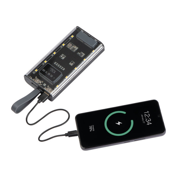 Power Bank Darwin 10,000 mAh