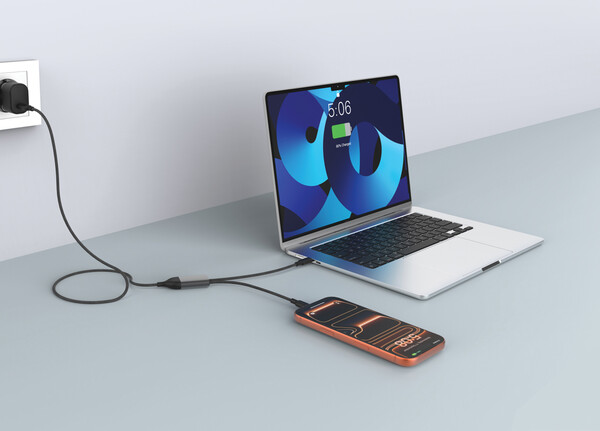Terra 100W RCS Dual USB C output cable