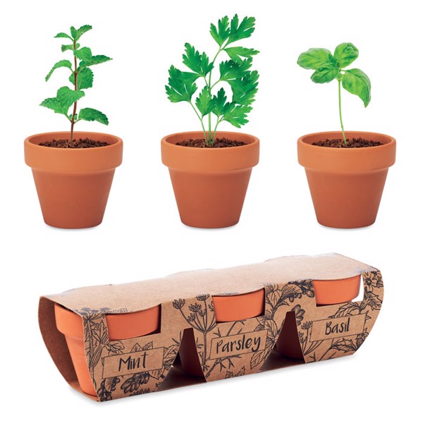 Terracotta-Set Kräuter Flowerpot