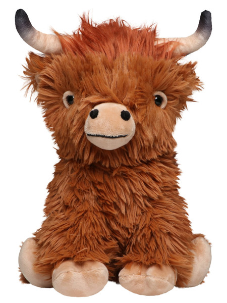 Scottish Highland Cattle Bobby