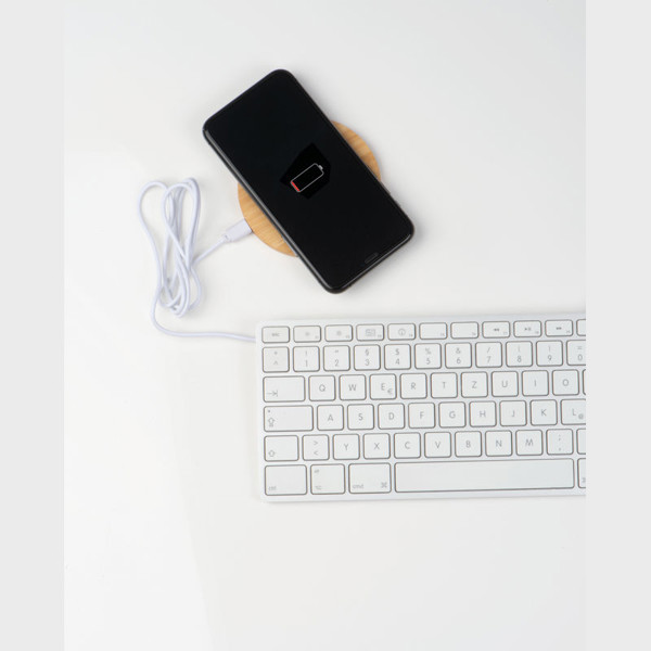Inductive Charger Mons
