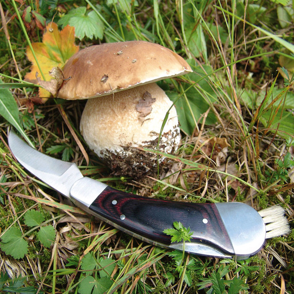 PILZ Pilzmesser