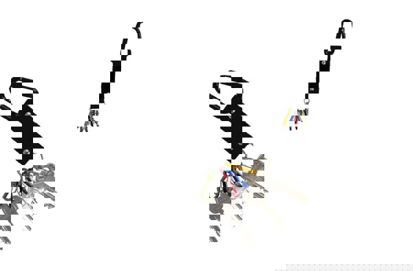 Carabiner key holder