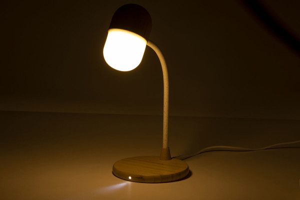 Lampe Multifonction Lars