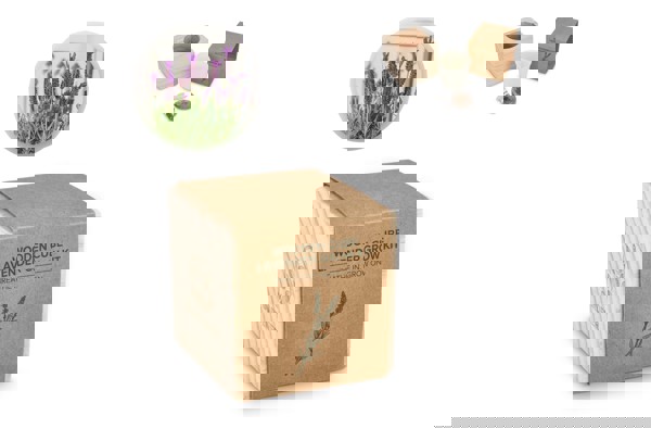 FSC Wooden Planter Set – Lavendar