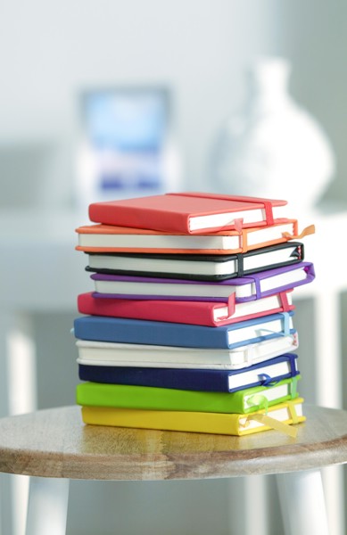 Notitieboek Dita | Gerecycled PU | A6 | Gelinieerd - wit