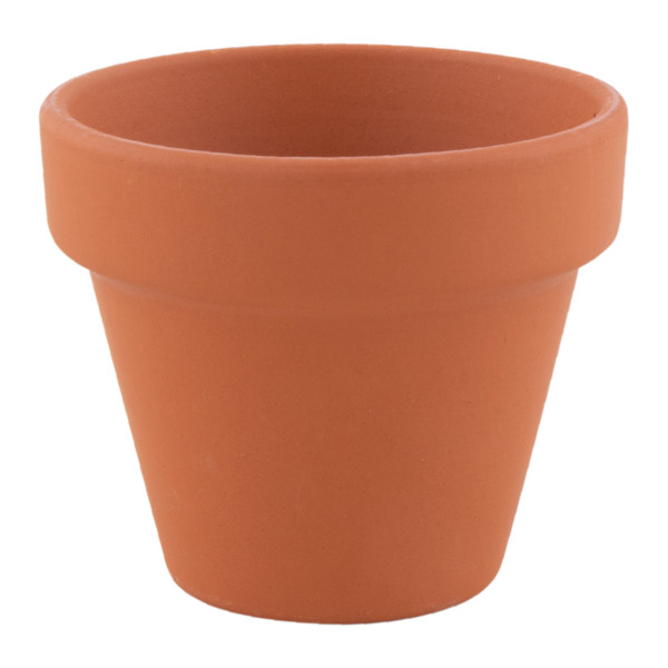 VASO BASIL