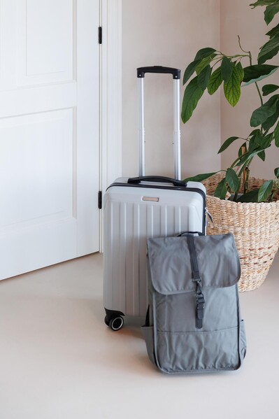 Luggage trolley Alaric | 20 inch | 30 l - grey