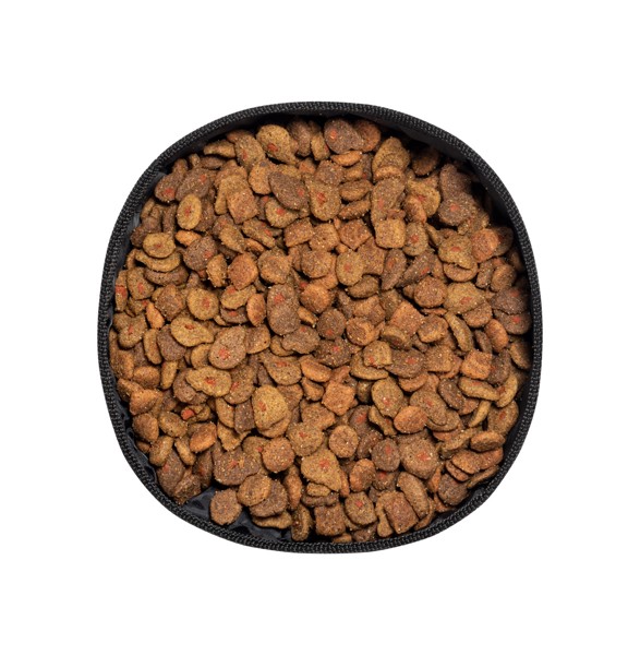 Dog Bowl Vurex