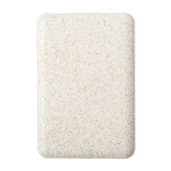Power bank Durum
