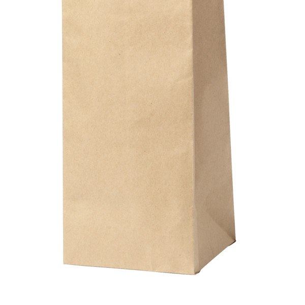 Bag Ragnar