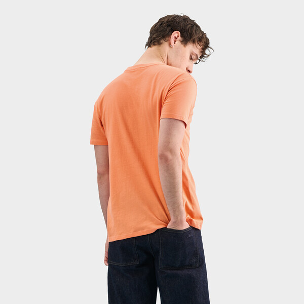 REGENT T-shirt unissex 150g - Alperce3XL