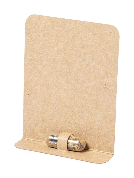 Flower Seed Capsule Flocca