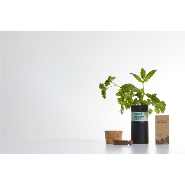 Jardinet de bureau Hey Pots avec mélange d'herbes aromatiques - Noir