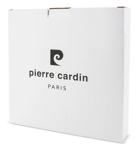 HORLOGE "STEEL" PIERRE CARDIN - Or