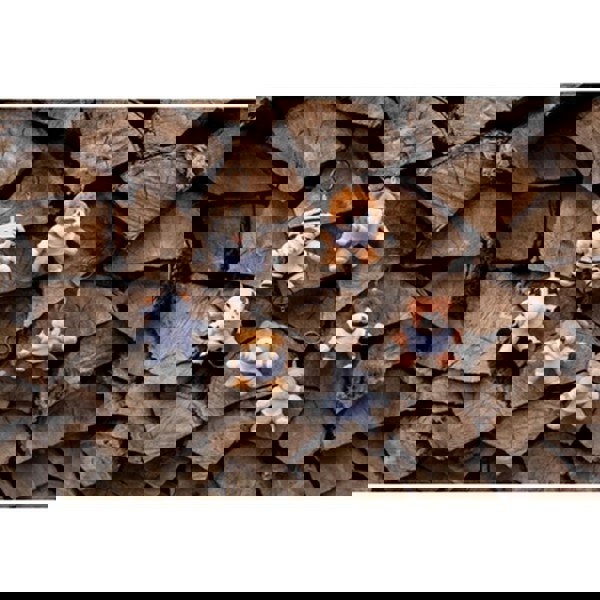 Plush teddy bear, keyring | Larry Honey