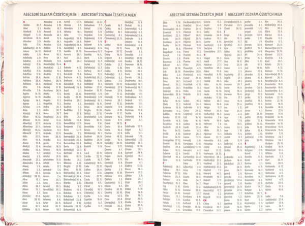 Notique 18Měsíční Diář Petito – Japonsko 2026/2027, 11 x 16 cm - Východní