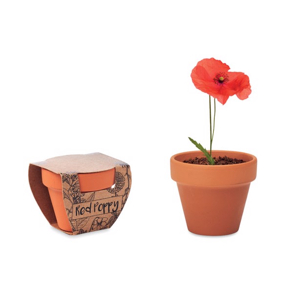 Terracotta pot 'poppy' Red Poppy