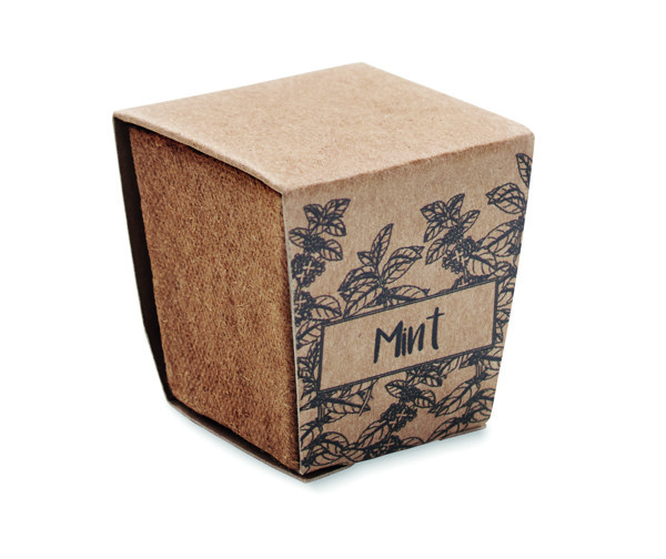 Mint grow kit biodegradable pot, soil tablet
